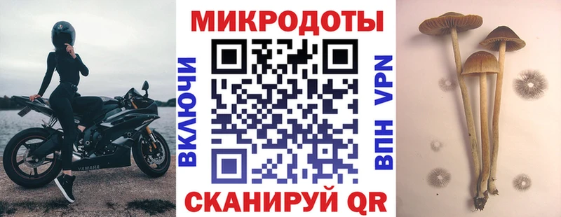 Псилоцибиновые грибы MAGIC MUSHROOMS  сколько стоит  Корсаков 